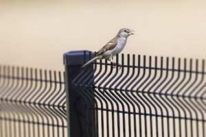 bird 7348463 1280