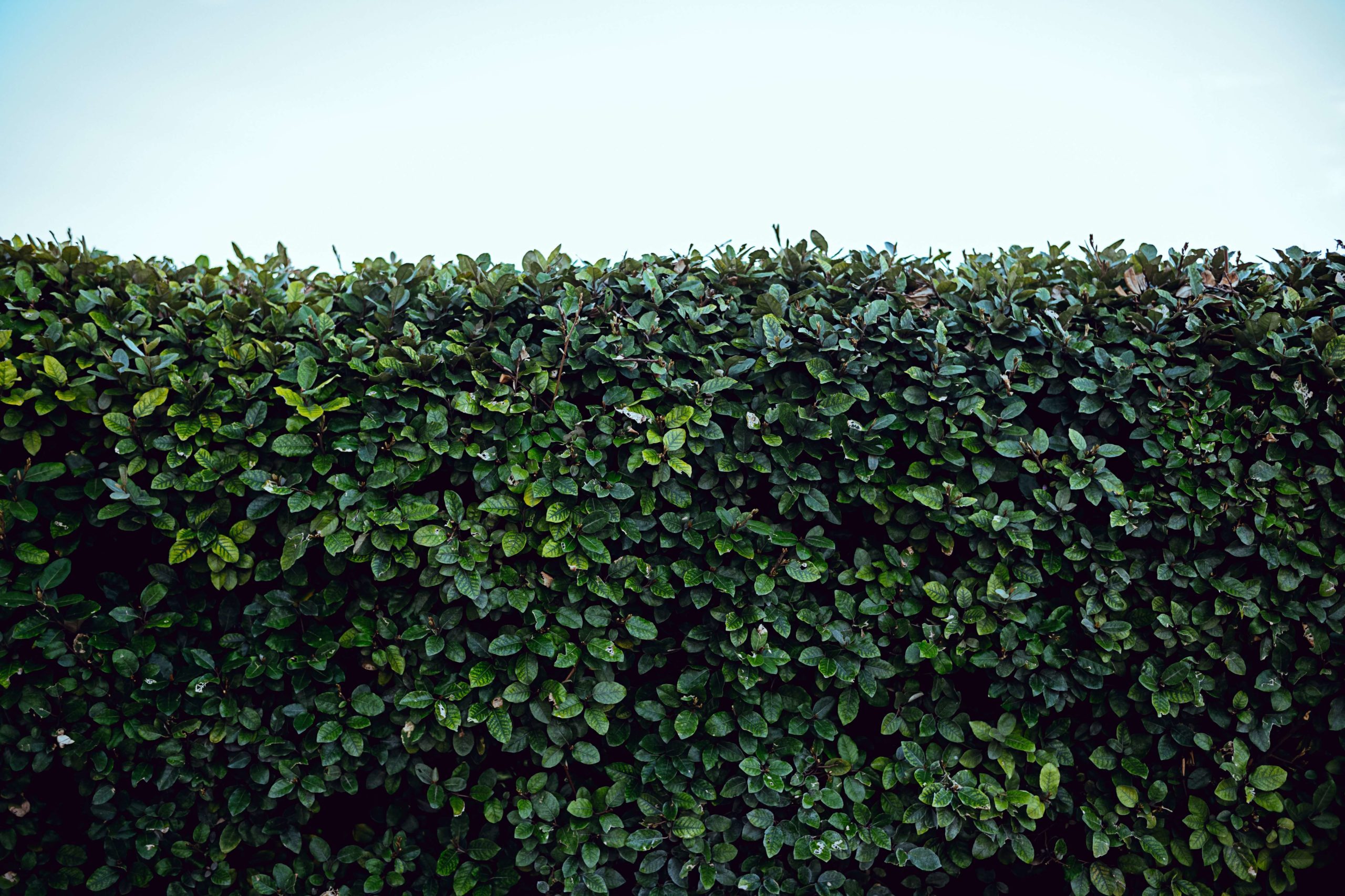 osman rana aEcF58jG1n4 unsplash 1 scaled